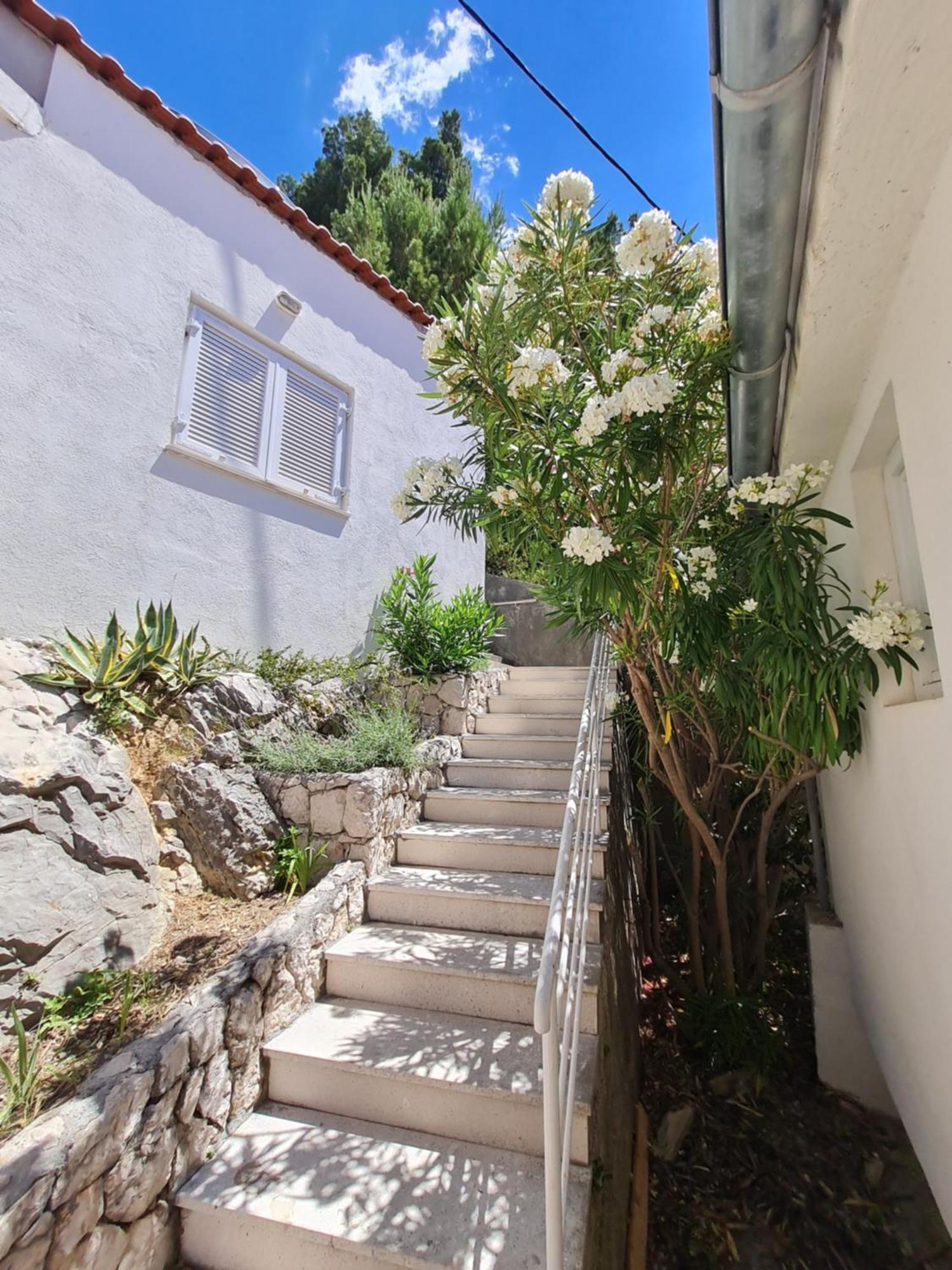 Apartments Apartmani Pintar Мимице Екстериор снимка